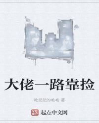 大佬一路靠捡